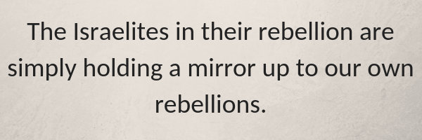 The Israelites in their rebellion are simply holding a mirror up to our own rebellions.