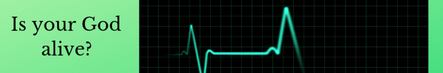 Picture of EKG going static