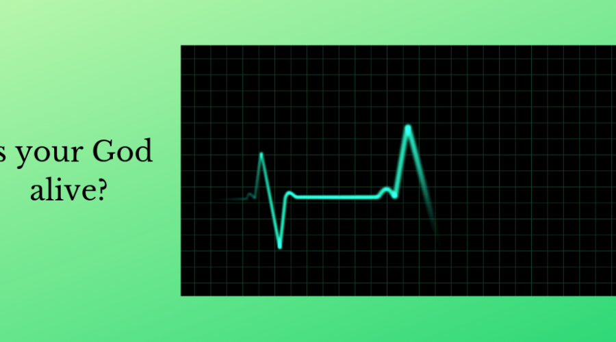 Picture of EKG going static