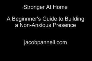 A picture of text: Stronger at Home A Beginner's Guide to Building a Non-Anxious Presence jacobpannll.com