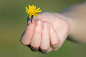 A gift of perspective